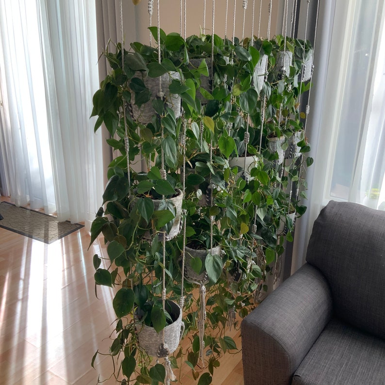 Adjustable Plant Hanger Multiple Plants Display Room Etsy