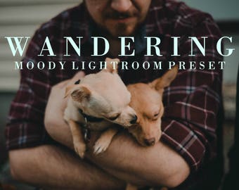 Wandering | Lightroom Preset, Moody Preset, Wedding Preset