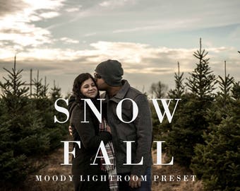 Snow Fall | Lightroom Preset, Moody Presets, Wedding Lightroom Presets