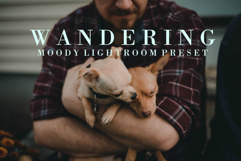 Wandering Lightroom Preset, Moody Preset, Wedding Preset image 1