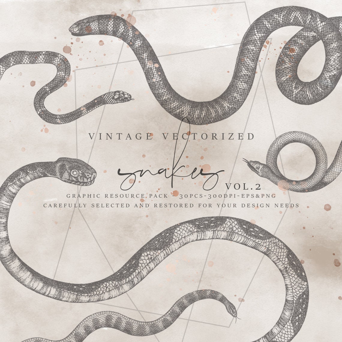 Painted Tree Branch Clipart Free Snake Www Galleryneed Com - snakes clipart vol halloween clipart serpents print etsy jpg 1140x1140 painted tree branch clipart free snake