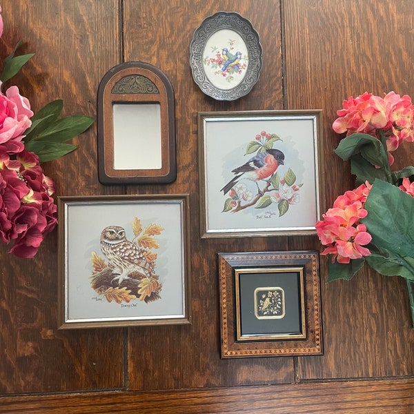 Vintage Bird Wall Decor /Ornithology /Gallery Wall /Wooden Frames /Pewter Frames/Eclectic Home