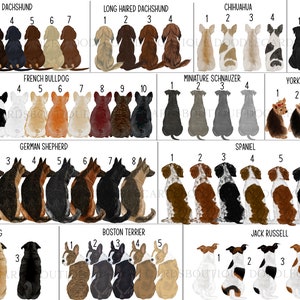 May include: A chart featuring illustrations of various dog breeds, including Dachshund, Long Haired Dachshund, Chihuahua, Rottweiler, French Bulldog, Miniature Schnauzer, Yorkshire Terrier, German Shepherd, Spaniel, Pug, Boston Terrier, and Jack Russell. Each breed is numbered 1 to 10, with the dogs facing the viewer.