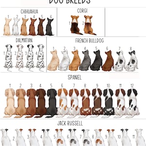 May include: A chart with illustrations of different dog breeds, including Chihuahua, Corgi, Dalmatian, French Bulldog, Jack Russell, and Spaniel. Each breed is numbered 1 through 12.