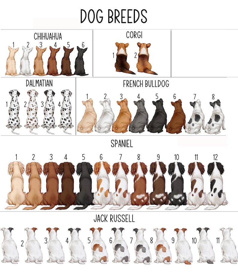 May include: A chart with illustrations of different dog breeds, including Chihuahua, Corgi, Dalmatian, French Bulldog, Jack Russell, and Spaniel. Each breed is numbered 1 through 12.