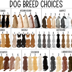 May include: A chart featuring illustrations of various dog breeds, including Airedale Terrier, Afghan Hound, Whippet, Irish Terrier, Basenji, Greyhound, Cockapoo, Goldador, and Labradoodle. Each breed is numbered 1 to 10, with the breed name displayed above the illustrations.