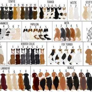 May include: A chart featuring illustrations of various dog breeds, including a Staffordshire Terrier, Terrier, Westie, Scottish Terrier, Havanese, Papillon, Akita, Dalmatian, Bearded Collie, Border Collie, Fox Terrier, Bichon Frise, Labrador, and Beagle. Each breed is numbered 1 through 5 or 1 through 13, depending on the breed.