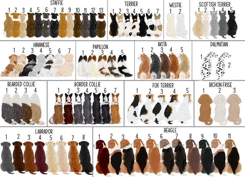 May include: A chart featuring illustrations of various dog breeds, including a Staffordshire Terrier, Terrier, Westie, Scottish Terrier, Havanese, Papillon, Akita, Dalmatian, Bearded Collie, Border Collie, Fox Terrier, Bichon Frise, Labrador, and Beagle. Each breed is numbered 1 through 5 or 1 through 13, depending on the breed.