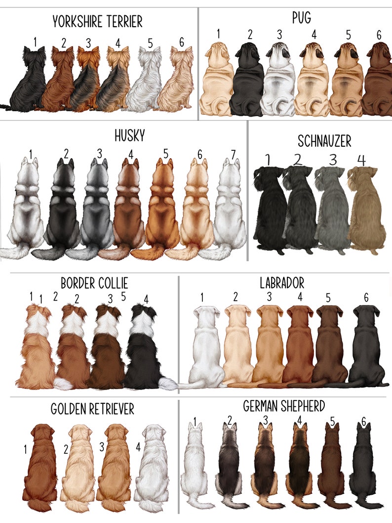 May include: Illustration of different dog breeds, including Yorkshire Terrier, Pug, Husky, Schnauzer, Border Collie, Labrador, Golden Retriever, and German Shepherd. Each breed is shown in a row of 4 to 7 dogs, with numbers 1 through 7 indicating the order of the dogs in each row.