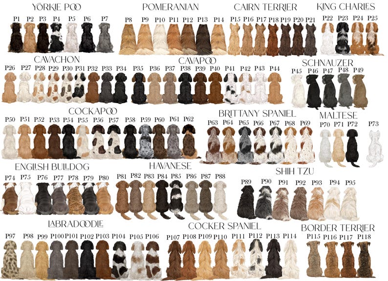 May include: A digital chart displaying numerous dog breeds viewed from behind, organised by breed names including Yorkie Poo, Pomeranian, Cairn Terrier, King Charles, Cavachon, Cavapoo, Schnauzer, Cockapoo, Brittany Spaniel, Maltese, English Bulldog, Havanese, Shih Tzu, Labradoodle, Cocker Spaniel, and Border Terrier, with each dog assigned a unique identification code from P1 to P118.