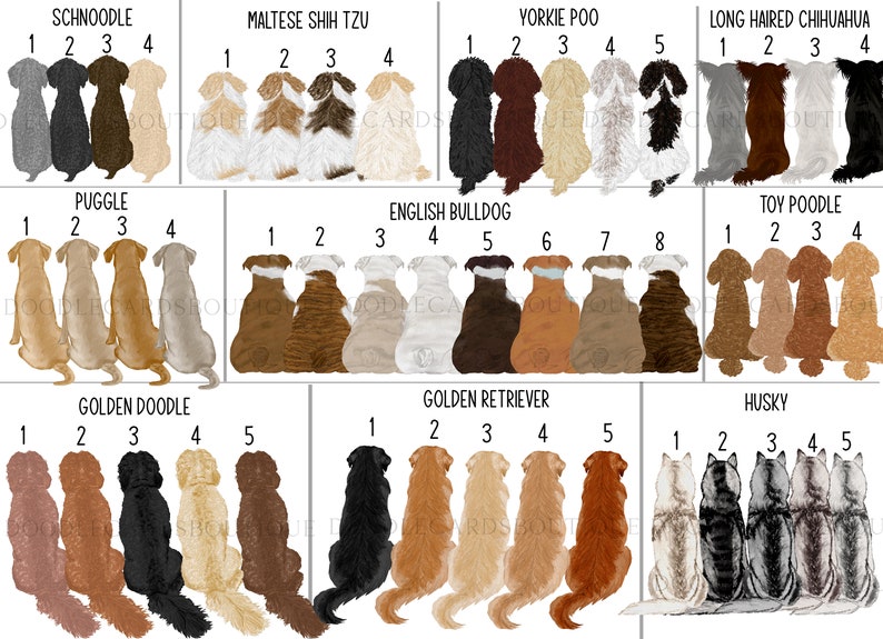 May include: Illustration of ten different dog breeds, each with five variations in colour and markings. The breeds are Schnoodle, Maltese Shih Tzu, Yorkie Poo, Long Haired Chihuahua, Puggle, English Bulldog, Toy Poodle, Golden Doodle, Golden Retriever, and Husky.