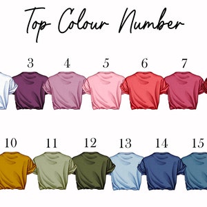 May include: A colour chart titled Top Colour Number displaying sixteen short-sleeved t-shirts in various shades, including grey, white, purple, pink, red, yellow, mustard, olive green, blue, and black, each numbered from one to sixteen.
