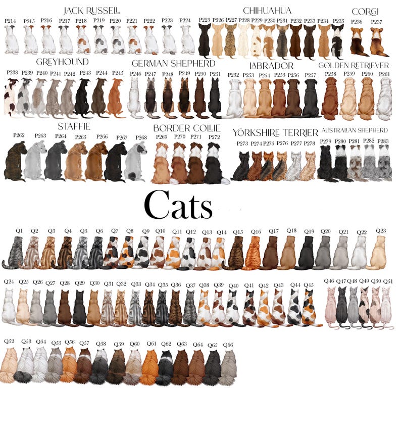 May include: A digital chart displaying various dog and cat breeds viewed from behind, organised by breed names like Jack Russell, Greyhound, and Labrador. Each animal is assigned a unique code, such as P214 or Q1, for identification and selection.