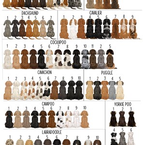 May include: A chart with illustrations of different dog breeds, including Long Haired Dachshund, Border Terrier, Dachshund, Cavalier, Cockapoo, Cavachon, Puggle, Cavapoo, Yorkshire Terrier, and Labradoodle. Each breed is numbered 1 through 10 or 11, with the dogs sitting in a row.