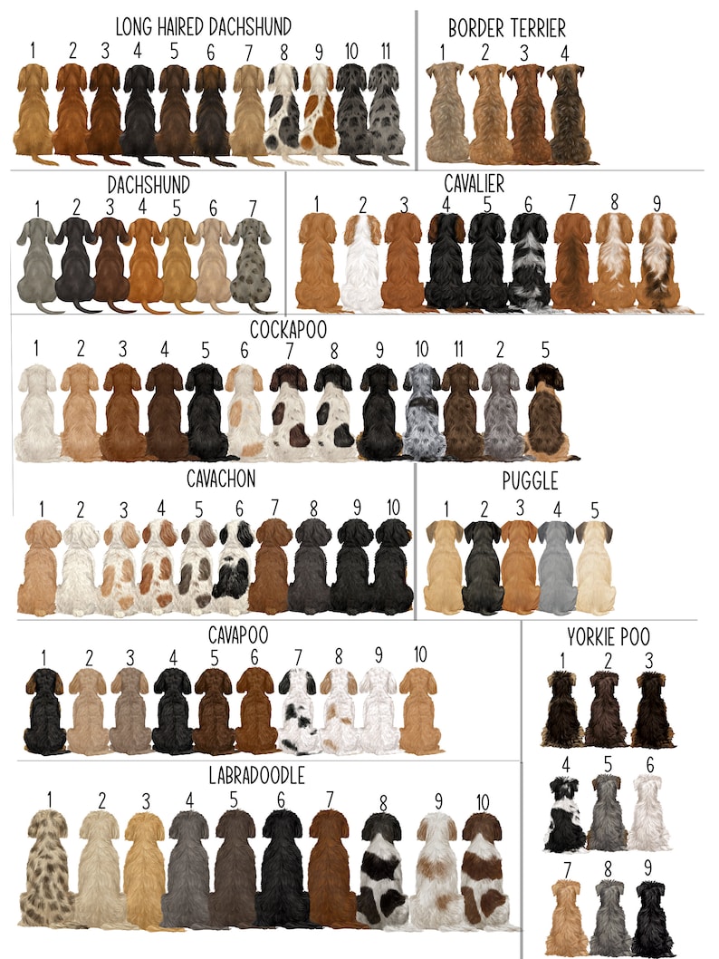 May include: A chart with illustrations of different dog breeds, including Long Haired Dachshund, Border Terrier, Dachshund, Cavalier, Cockapoo, Cavachon, Puggle, Cavapoo, Yorkshire Terrier, and Labradoodle. Each breed is numbered 1 through 10 or 11, with the dogs sitting in a row.