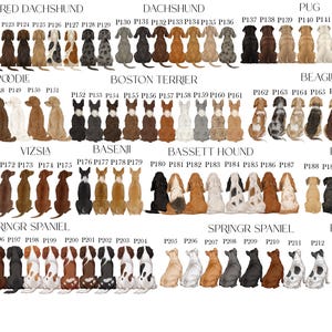 May include: A digital chart displaying various dog breeds from behind, including Long Haired Dachshund, Dachshund, Pug, Toy Poodle, Boston Terrier, Beagle, Bichon, Vizsla, Basenji, Basset Hound, Puggle, Springer Spaniel, and Rottweiler, labelled P119-P214.