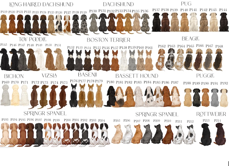 May include: A digital chart displaying various dog breeds from behind, including Long Haired Dachshund, Dachshund, Pug, Toy Poodle, Boston Terrier, Beagle, Bichon, Vizsla, Basenji, Basset Hound, Puggle, Springer Spaniel, and Rottweiler, labelled P119-P214.