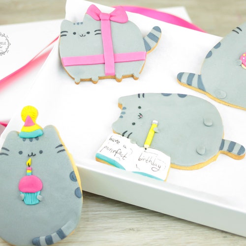 Cat Biscuits Birthday Biscuit Giftbox Personalised Cat Etsy UK