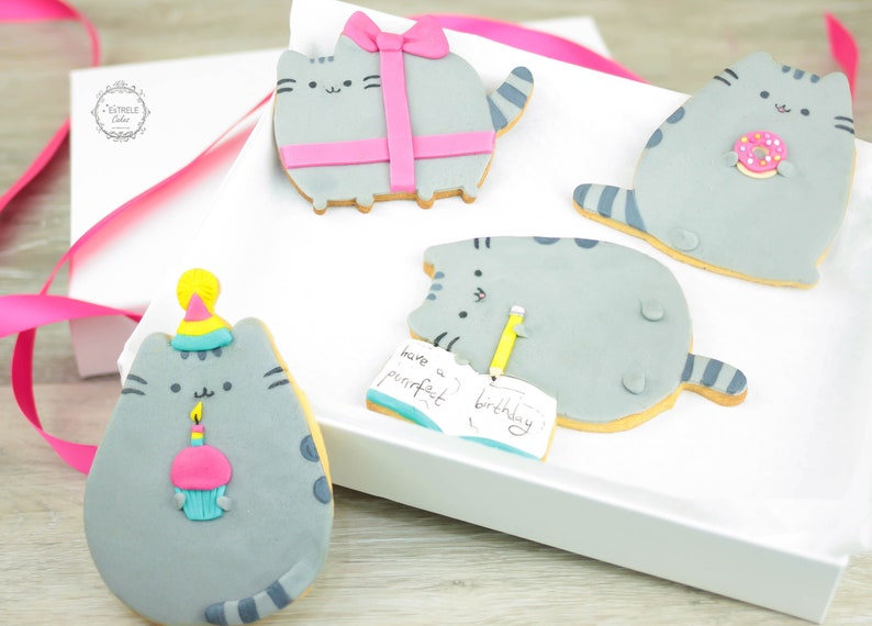 Cat Biscuits Birthday Biscuit Giftbox Personalised Cat Etsy UK