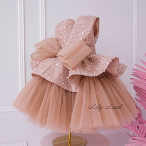 Cappuccino Tutu Birthday Baby Dress, Sparkling Flower Girl Dress, Tulle Toddler Special Occasion Prom Gown, Wedding Guest Pageant Dress