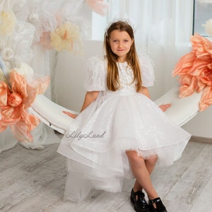 White Sparkling Flower Girl Dress, Prom Ball Gown, Wedding Guest First Communion, Graduation Special Occassion Pageant Birthday Baby Dress