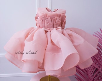 Blush Tutu First Birthday Baby Girl Dress, Tulle Toddler Party Baby Puffy Dress, Flower Girl Dress, Infant Special Occasion Princess Dress