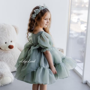 May include: A young girl wearing a sage green tulle dress with a ruffled skirt and puffed sleeves. She is wearing a headband with green flower accents. The dress has a bow in the back and the text "Lily Land" is visible on the dress.