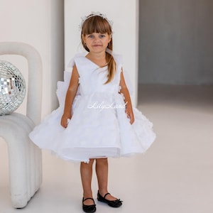 White Lace Flower Girl Dress, First Birthday Baby Dress, Tutu Baptism Dress for Special Occasion, First Communion, Pageant Floral Dress