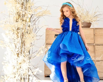 Blue Flower Girl Dress, Glitter Dress For Baby Girl, Birthday Girl Dress, Hi Lo Dress, Pageant Dress, Princess Dress For Special Occasion