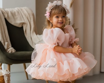 May include: A young girl wearing a light pink tulle dress with a flower crown. The dress has a ruffled skirt and puffed sleeves. The girl is standing on a light brown rug.