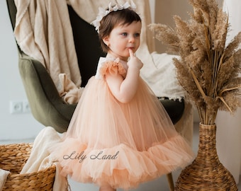 Tutu Short Puffy Birthday Outfit 1 an, Photoshoot Girl Outfit, Toddler Princess Baby Girl Dress, Fancy Infant Dress Special Occasions
