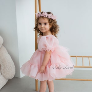 Blush Puffy Flower Girl Dress, First Baby Birthday Party Dress, Tutu & Tulle Princess Girl Gown, Pageant Toddler Special Occasion Dress