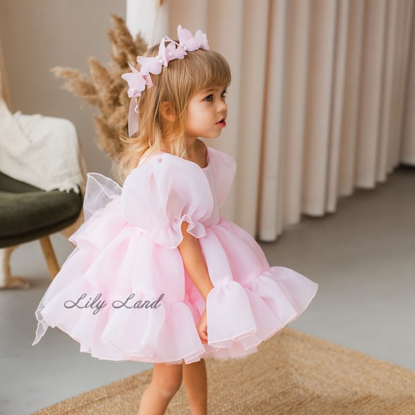 Blush Puffy Flower Girl Dress, First Baby Birthday Party Dress, Tutu & Tulle Princess Girl Gown, Pageant Toddler Special Occasion Dress