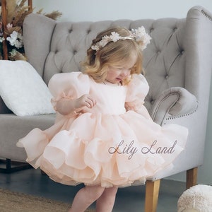 Peach Tutu & Tulle Puffy Flower Girl Dress, First Baby Birthday Party Dress, Princess Girl Gown, Pageant Toddler Special Occasion Dress