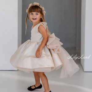 Gold Flower Girl Dress, First Birthday Baby Gift, Tutu Communion Prom Gown, Pageant Outfit, Special Occasion Graduation Dance Party Dress