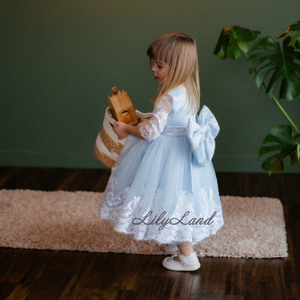 Blue Lace Long Sleeves Special Occasion Baby Birthday Dress, Flower Girl Wedding Guest Wear,Prom First Communion Gown, Pageant Toddler Dress