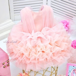 Tutu Flower Girl Dress, First Baby Girl Birthday Dress, Special Occasion Princess Dress for First 1st 2nd 3rd Birthday