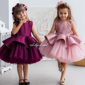 Tutu Flower Girl Dress, Birthday Baby Party Dress, Holiday Special Occasion Pageant Prom Gown, Wedding Guest Photoshoot Bridesmaid Wear
