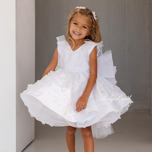 White Lace Flower Girl Dress, First Birthday Baby Dress, Tutu Baptism Dress for Special Occasion, First Communion, Pageant Floral Dress