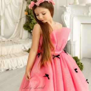 Pink Tutu Dress, Flower Girl Dress, Toddler Birthday Party Princess Dress, Puffy Sparkling Dress, Prom Ball Pageant Gown