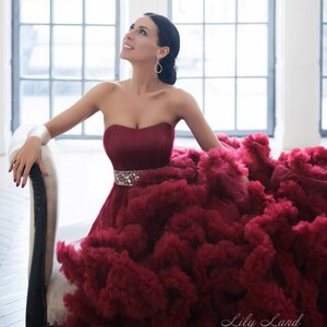Op de afbeelding: Een vrouw in een strapless, bordeauxrode jurk met een geruite rok en een glinsterende riem. De jurk is erg vol en de vrouw zit op een witte stoel. De tekst "Lily Land" is zichtbaar in de rechterbenedenhoek van de afbeelding.