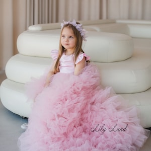 Blush Pink Toddler Dress, Flower Girl Dress, Toddler Birthday Princess Dress, Puffy Dress With Train, Prom Ball Pageant Gown
