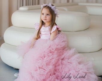 Blush Pink Toddler Dress, Flower Girl Dress, Toddler Birthday Princess Dress, Puffy Dress With Train, Prom Ball Pageant Gown