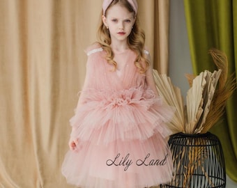 Blush Prom Graduation Gown, Birthday Party Baby Dress, Flower Girl Dress, Pearls Tulle Pageant Look, Special Occasion Toddler Tutu Outfit