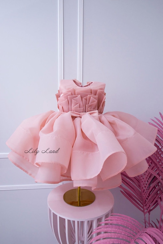 Blush Tutu First Birthday Baby Girl Dress, Tulle Toddler Party Baby Puffy Dress, Flower Girl Dress, Infant Special Occasion Princess Dress Blush Tutu First Birthday Baby Girl Dress, Tulle Toddler Party Baby Puffy Dress, Flower Girl Dress, Infant Special Occasion Princess Dress