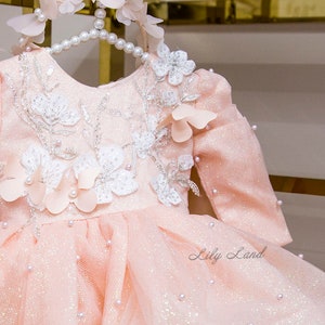 Elegant Peach Baby Dress with Floral Embroidery