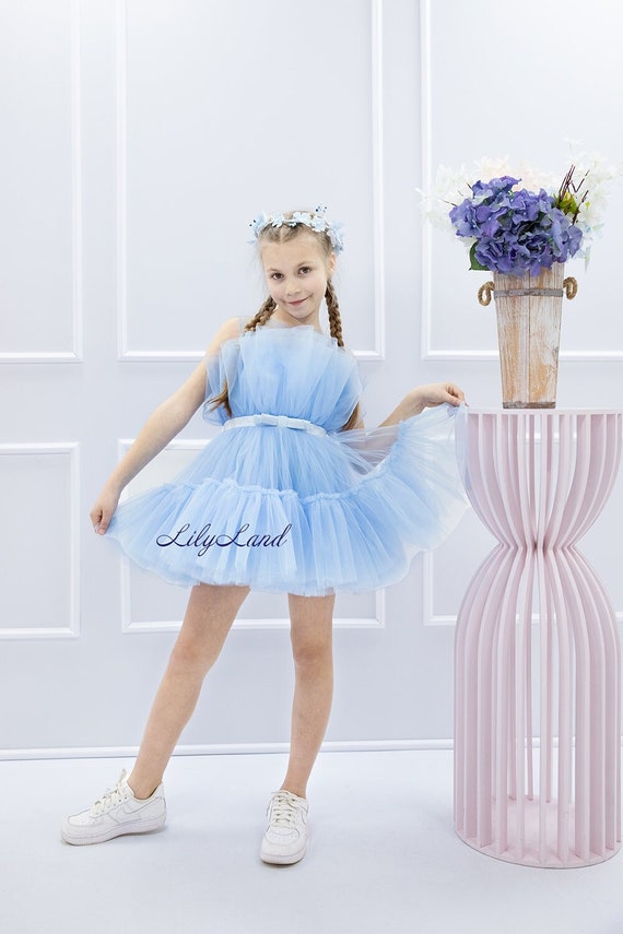 Blue Tulle Birthday Dress, Knee Length Tutu Party Baby Dress, Pageant  Princess Prom Graduation Gown, Special Occasion Flower Girl Dress - Etsy