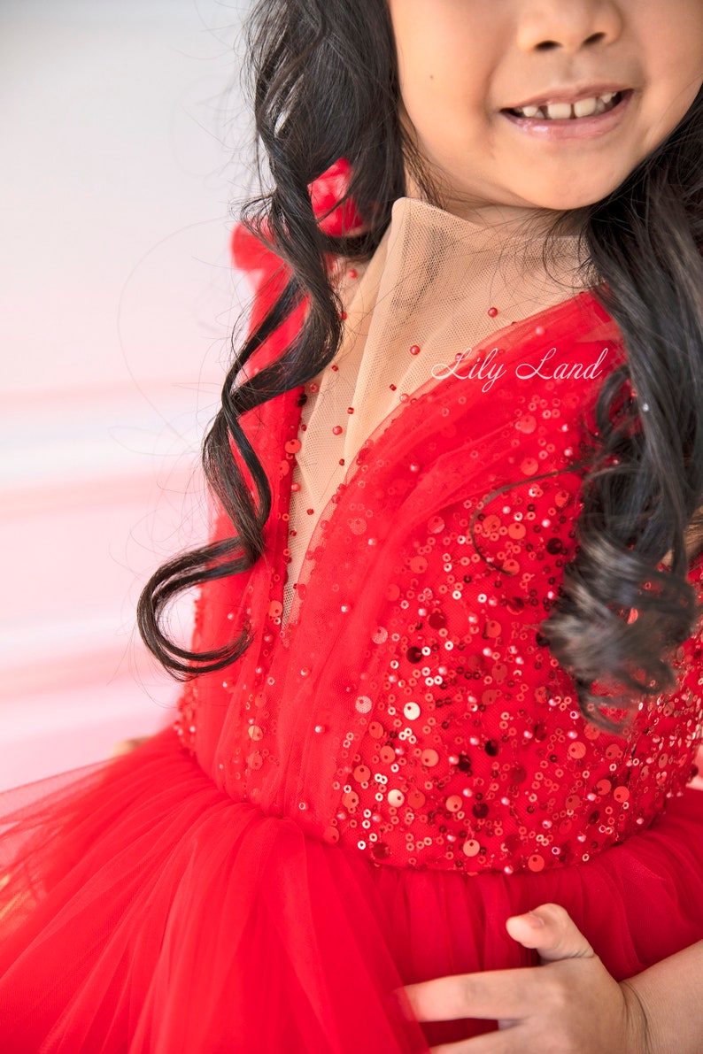 Birthday Party Girl Dress Red Tutu Tulle Dress First Etsy