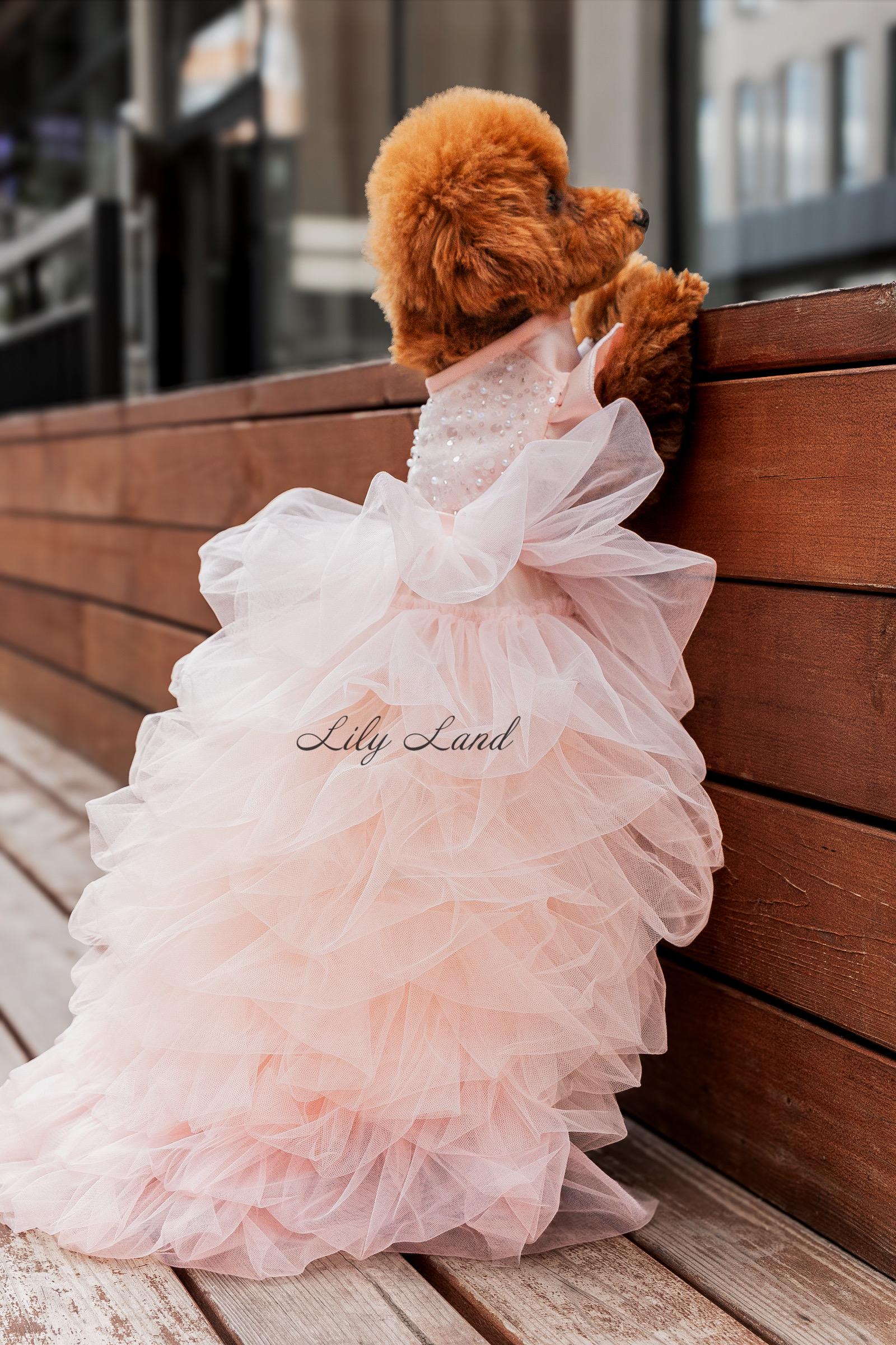 Peach Pet Dress, Wedding Flower Girl, Birthday Party Clothes