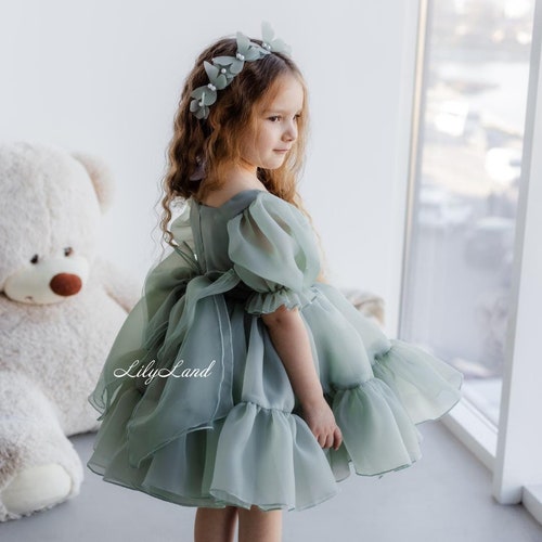 Robe de fille de fleur gonflée Tutu vert sauge, robe de fête d’anniversaire pour premier bébé, robe de princesse pour tout-petits, robe d’occasion spéciale pour tout-petits de bal de concours
